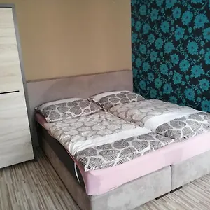 Byt 1+1 V Karlovych Varech Apartment